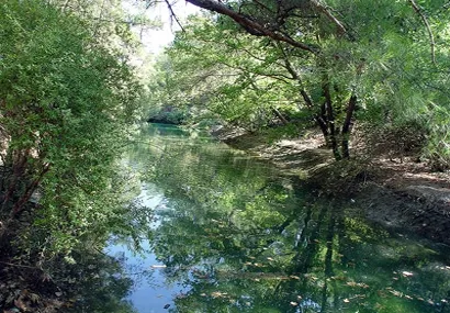 Attractions of Nature
