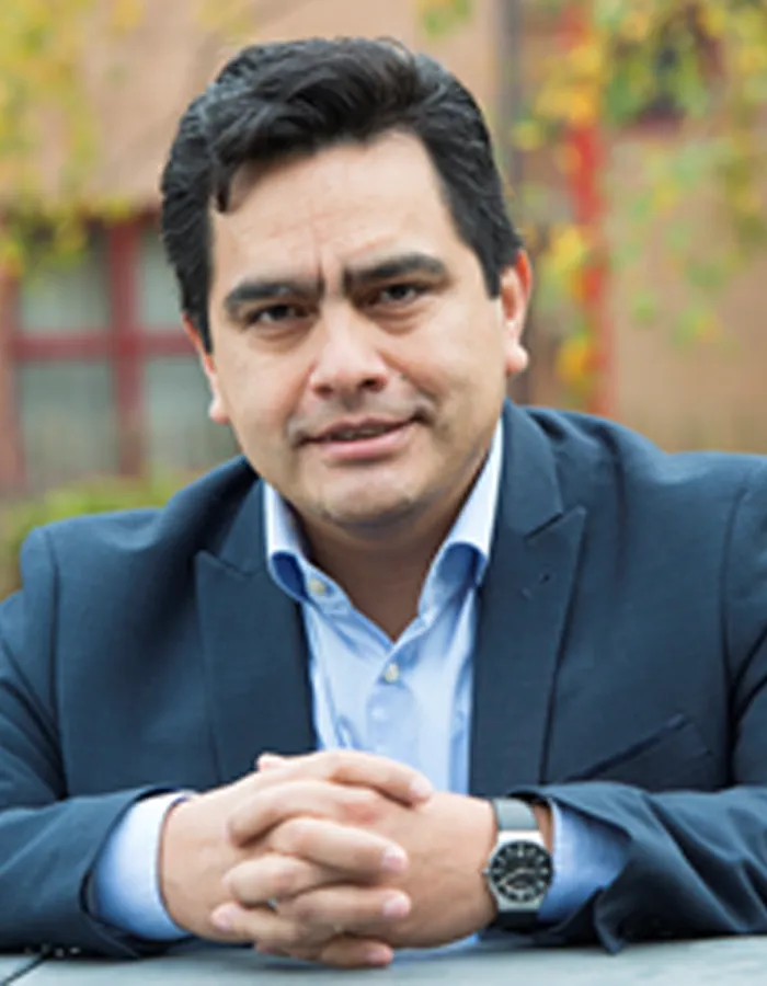 H. Arellano-Garcia (DE)
