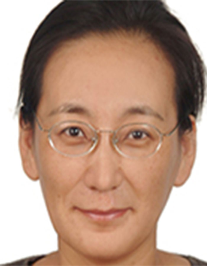 L. Sun (UK)